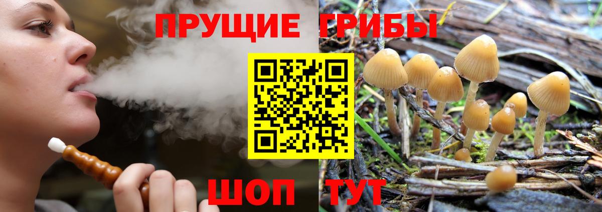 Галлюциногенные грибы Cubensis  Галлюциногенные грибы Magic Shrooms  Вход с VPN  Краснокаменск 